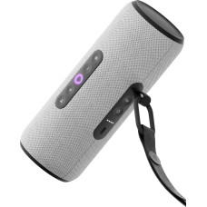 Яндекс Станция Стрит серая(YNDX-00030)