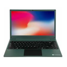 Ноутбук Gateway Ultra Slim 14 GWNR51416-GR 14.1'' IPS/FHD/Ryzen 5 3500U/8Gb/SSD256Gb/Vega 8/W11H/Green