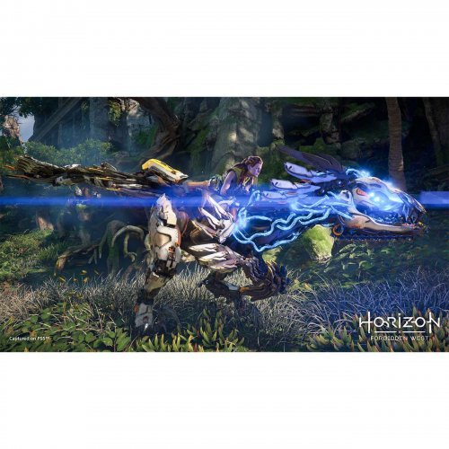 PS4 Horizon Forbidden West