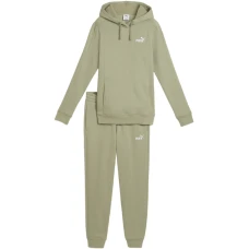 Спортивный костюм Puma Hooded Sweat Suit Fl cl Green 