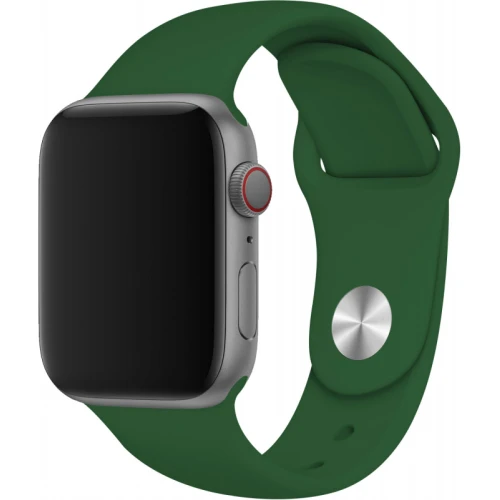 Ремешок для Apple Watch Silicon magnet  38/40/41 mm зеленый