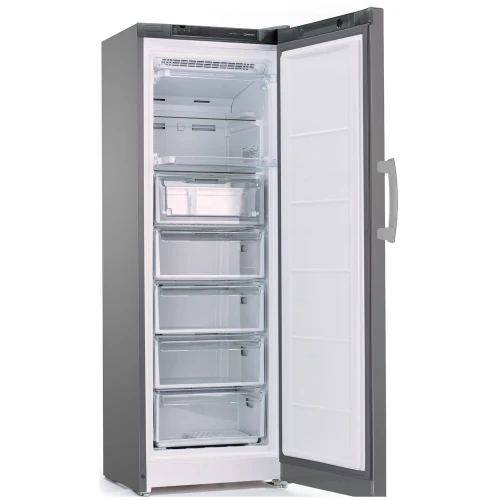 Морозильник Indesit DFZ 5175 G (275л.)