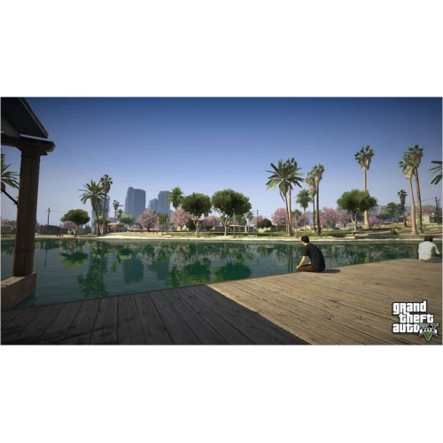 PS5 GTA5
