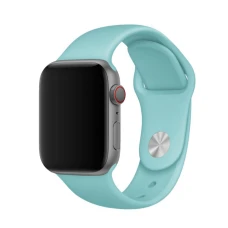 Ремешок для Apple Watch Silicon magnet  38/40/41 mm мятный
