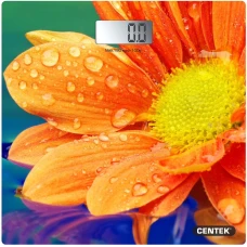 Весы напольные Centek CT-2420 гербера