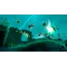 Nintendo Rayman Legend